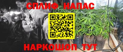 ГАЛЛЮЦИНОГЕННЫЕ ГРИБЫ Славгород
