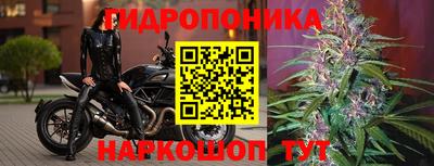 наркотики Славянск-на-Кубани